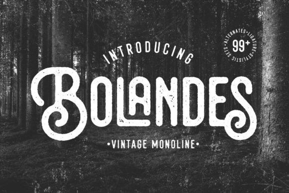 Bolandes: A Vintage Display Font for Modern Design